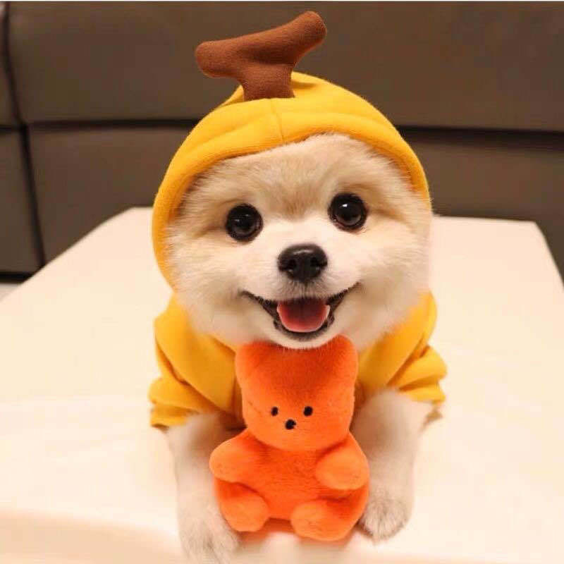 Cute Fruit Dog Clothes For Small Dogs Hoodies Winter Warm Fleece Pet Clothing Puppy Cat Costume Coat For French Chihuahua Outfit - G.O.A.T pets