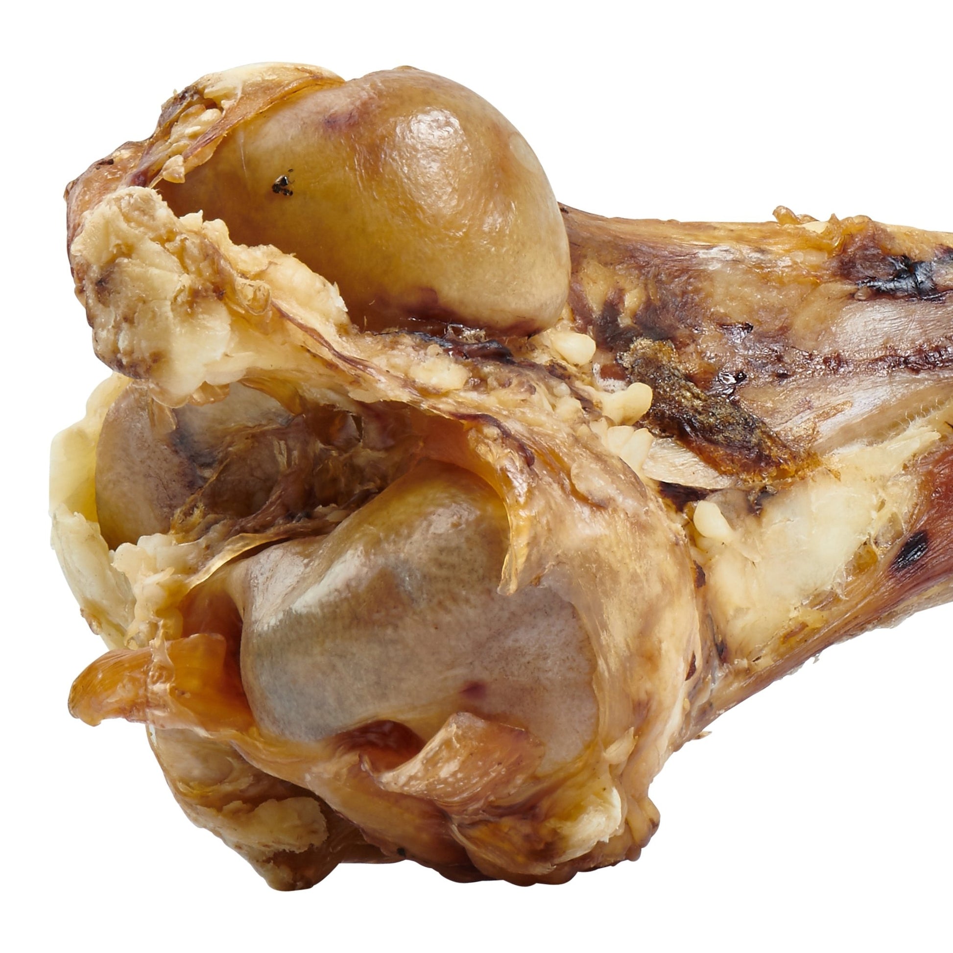Dried beef knuckle bone treat for dogs, rich in texture and natural appeal.