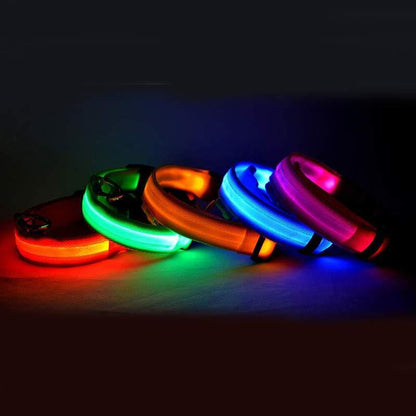 Nylon LED Pet Dog Luminous Collar Night Safety Flashing Glow in Dark Dog Cat Leash Adjustable Pet Supplies - G.O.A.T pets
