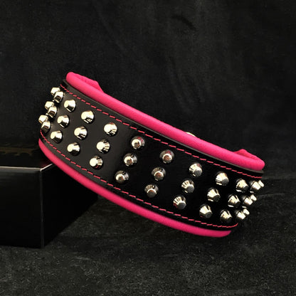 The "Stud" dog collar - Whiskers & Adventure Co.