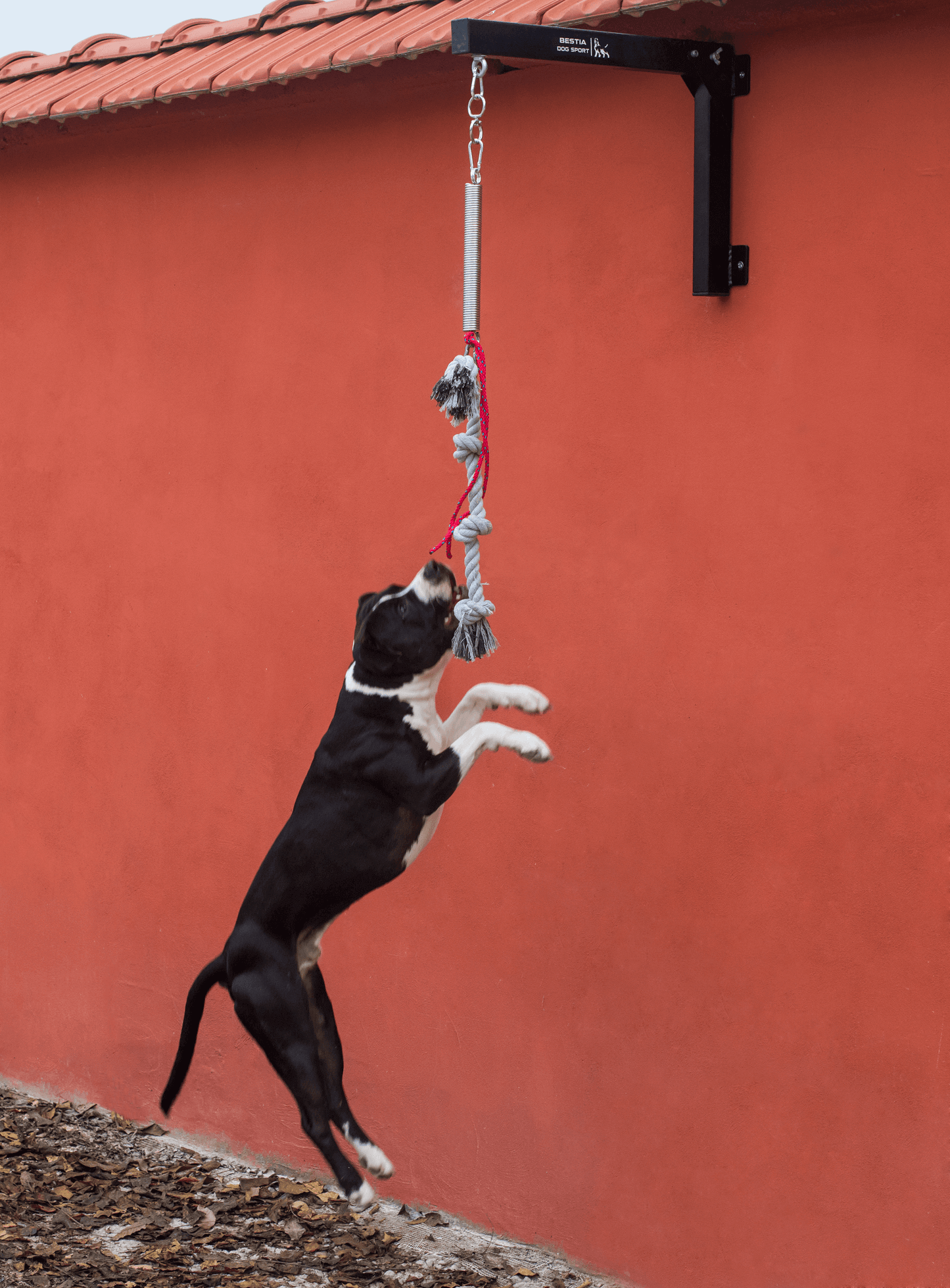 BESTIA Spring Pole - G.O.A.T pets