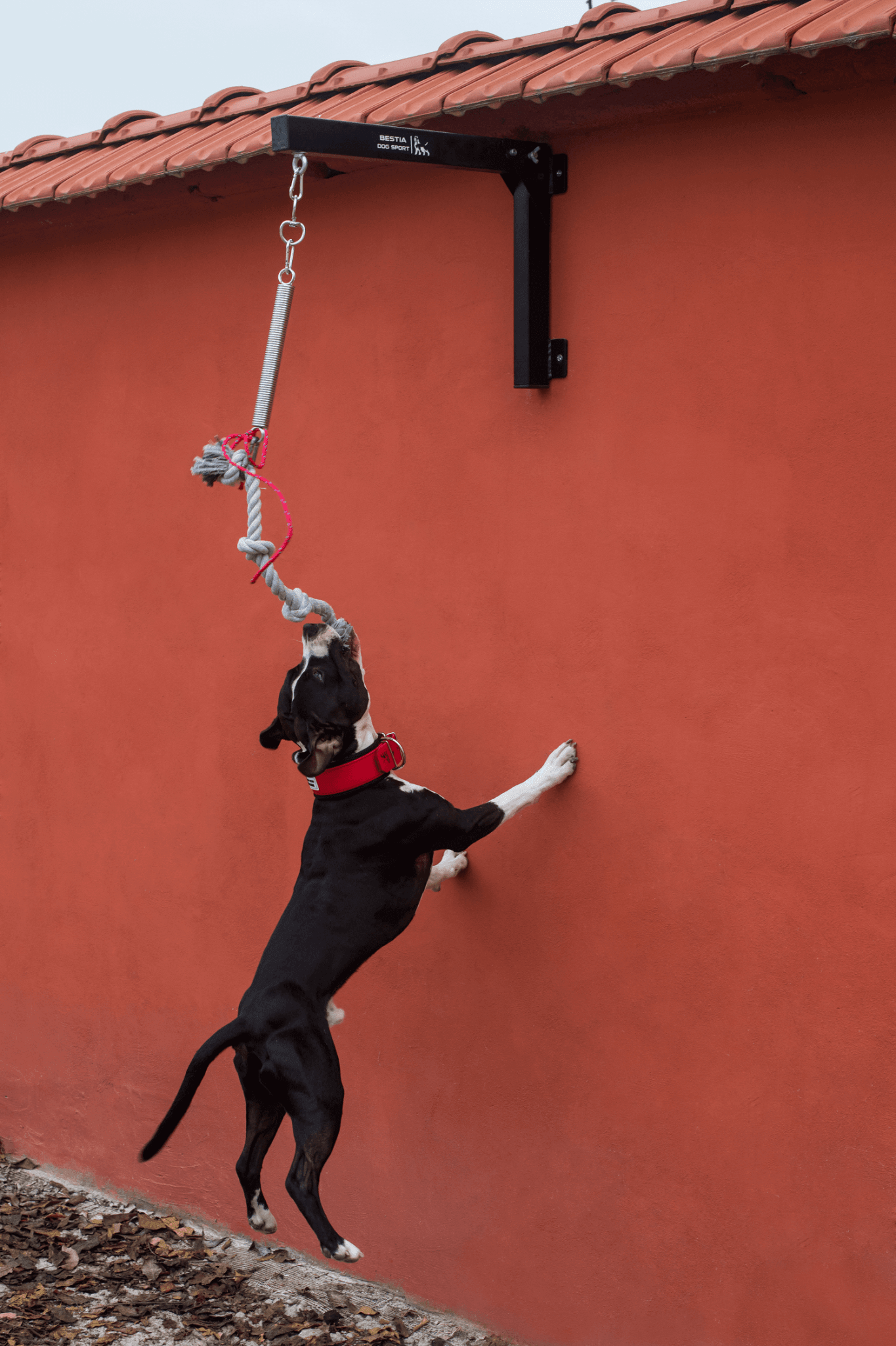 BESTIA Spring Pole - G.O.A.T pets