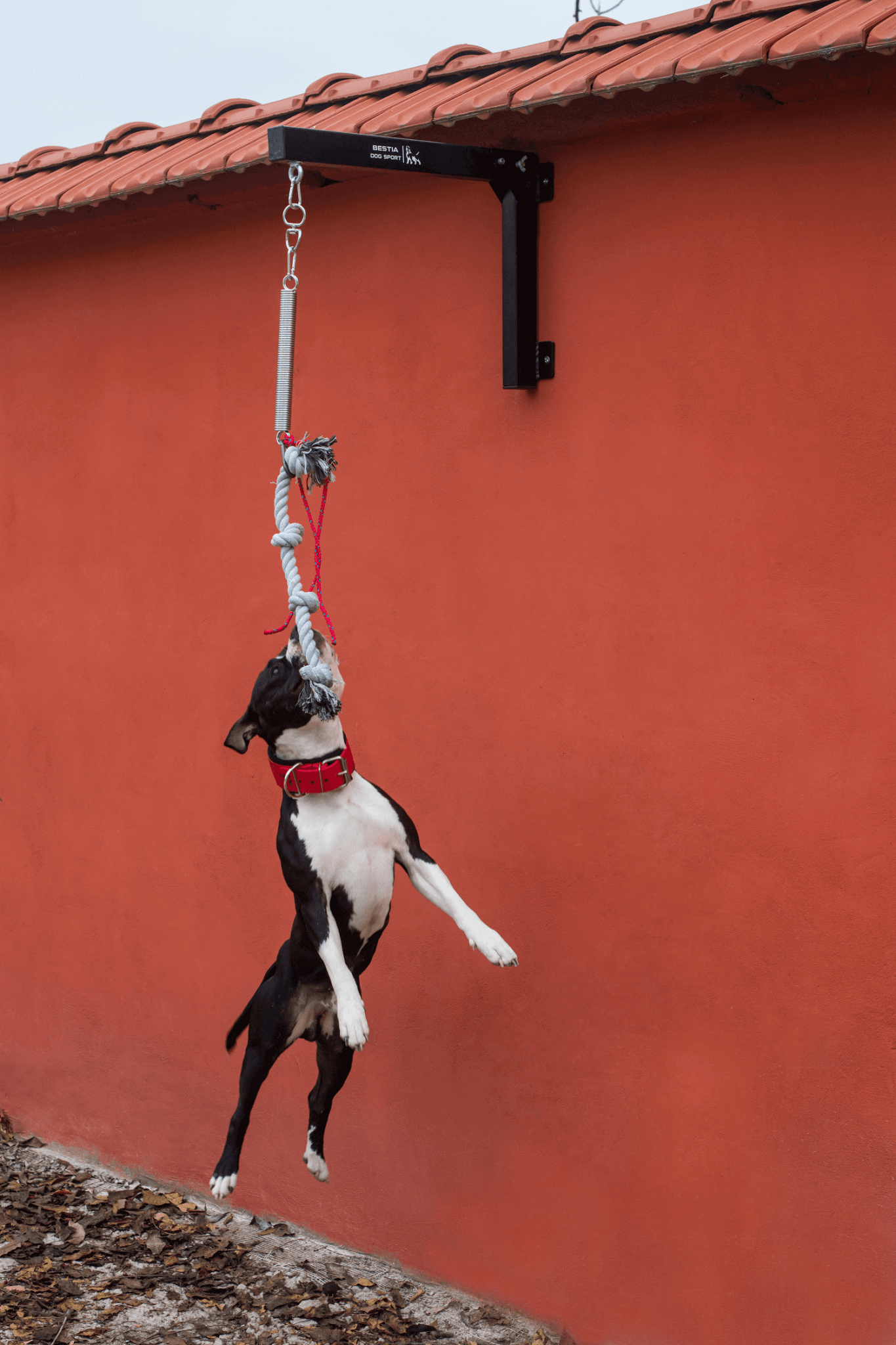 BESTIA Spring Pole - G.O.A.T pets