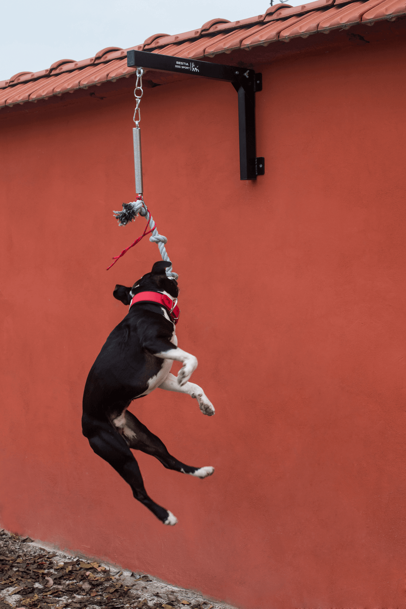 BESTIA Spring Pole - G.O.A.T pets