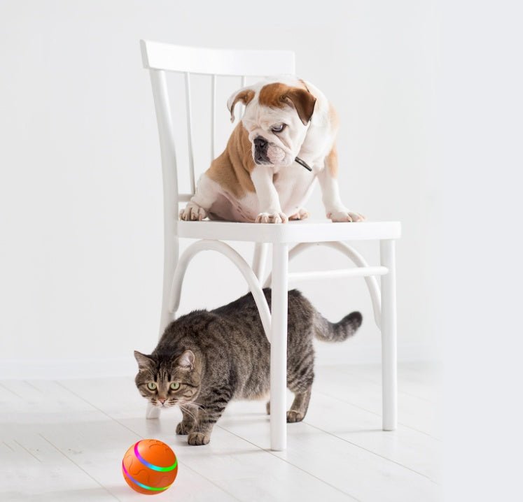 Pet New Cat Wicked Ball Toy Intelligent Ball USB Cat Toys Self Rotating Ball Automatic Rotation Ball - G.O.A.T pets