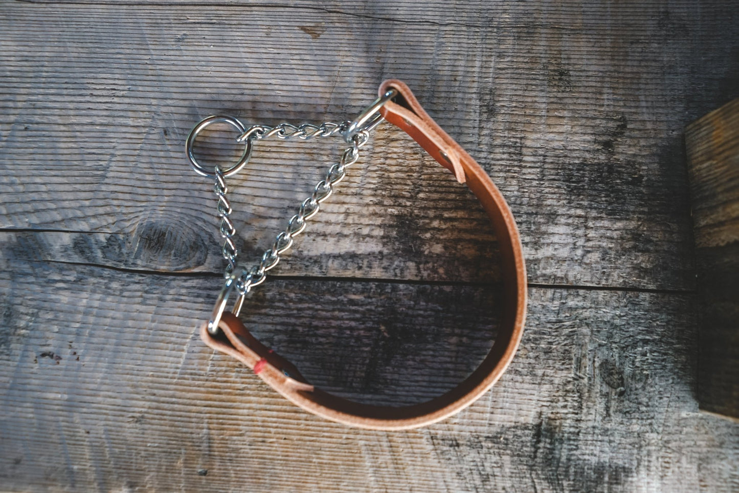 Fissile - G.O.A.T pets