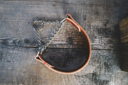 Fissile - G.O.A.T pets