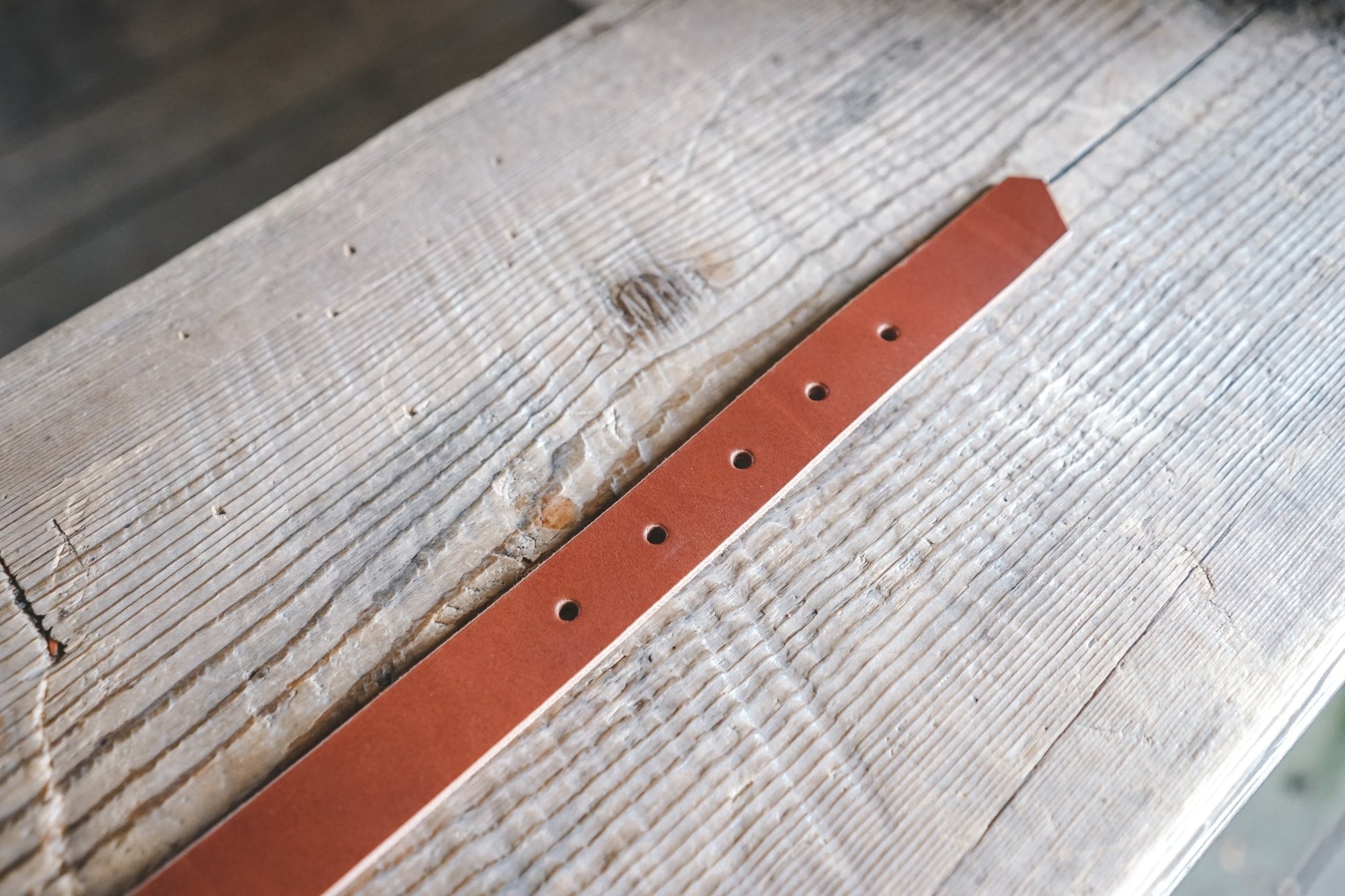 Panorama - G.O.A.T pets