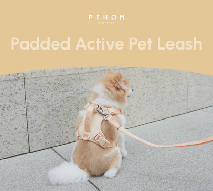 A small dog wearing a beige padded pet leash and harness on a stone surface.