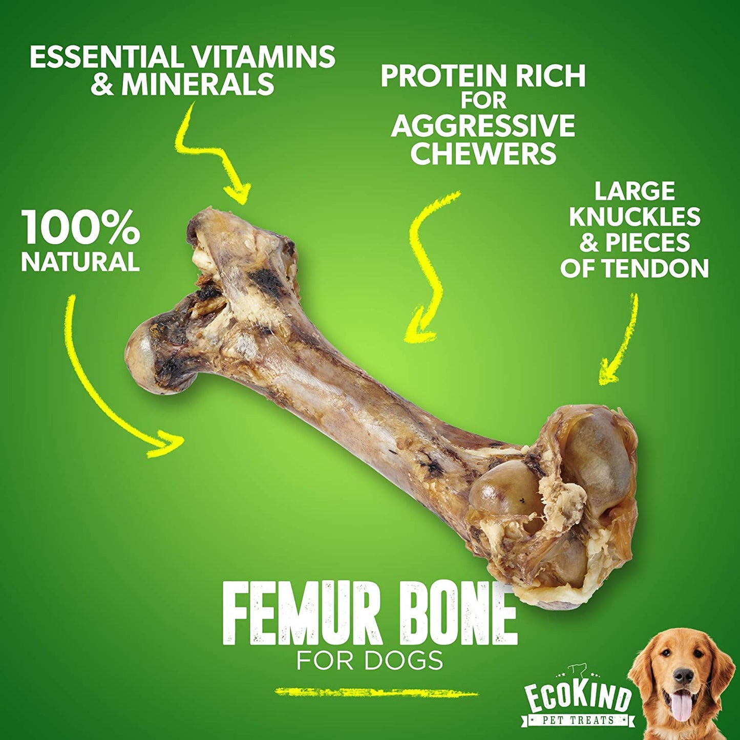 Large femur bone for dogs, natural and protein-rich treat with visible knuckles and tendon pieces.