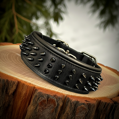 ''Black Giant'' collar