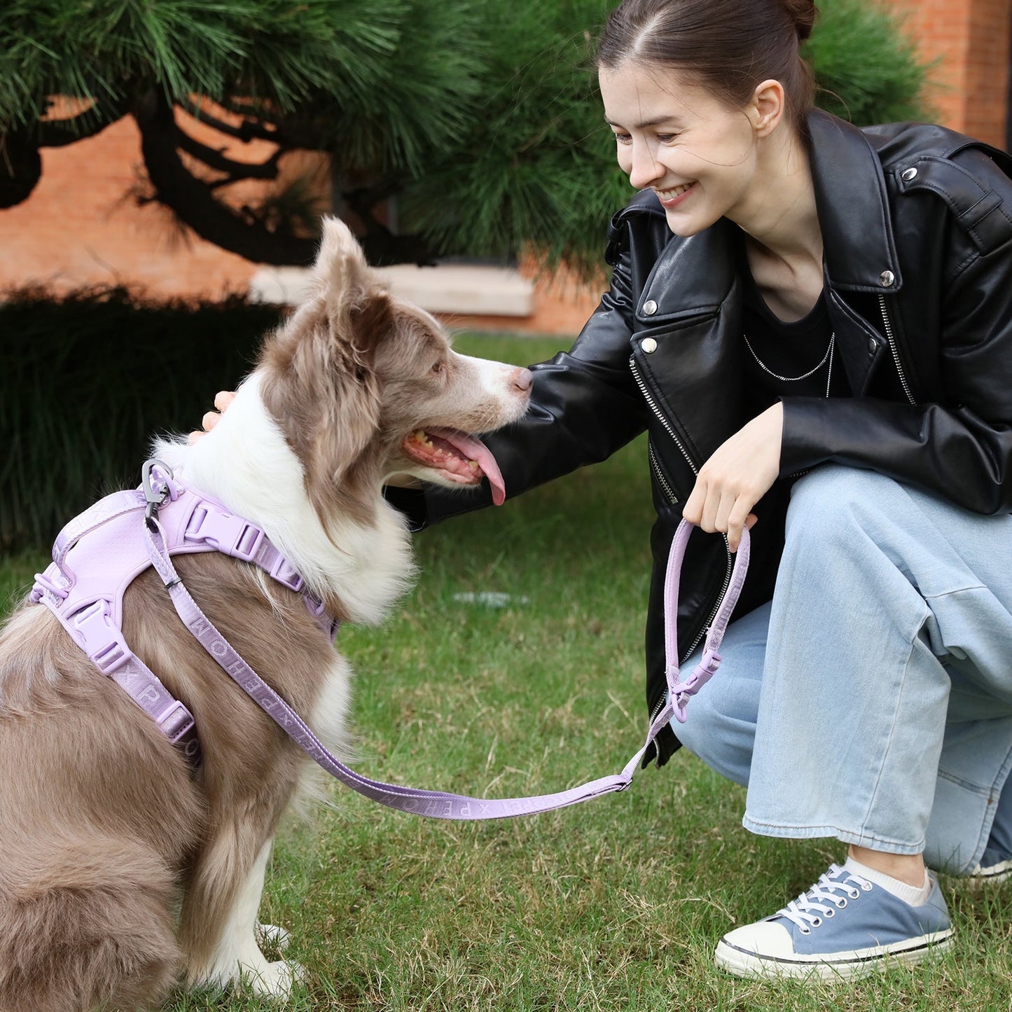PADDED ACTIVE PET LEASH - APRICOT - Whiskers & Adventure Co.