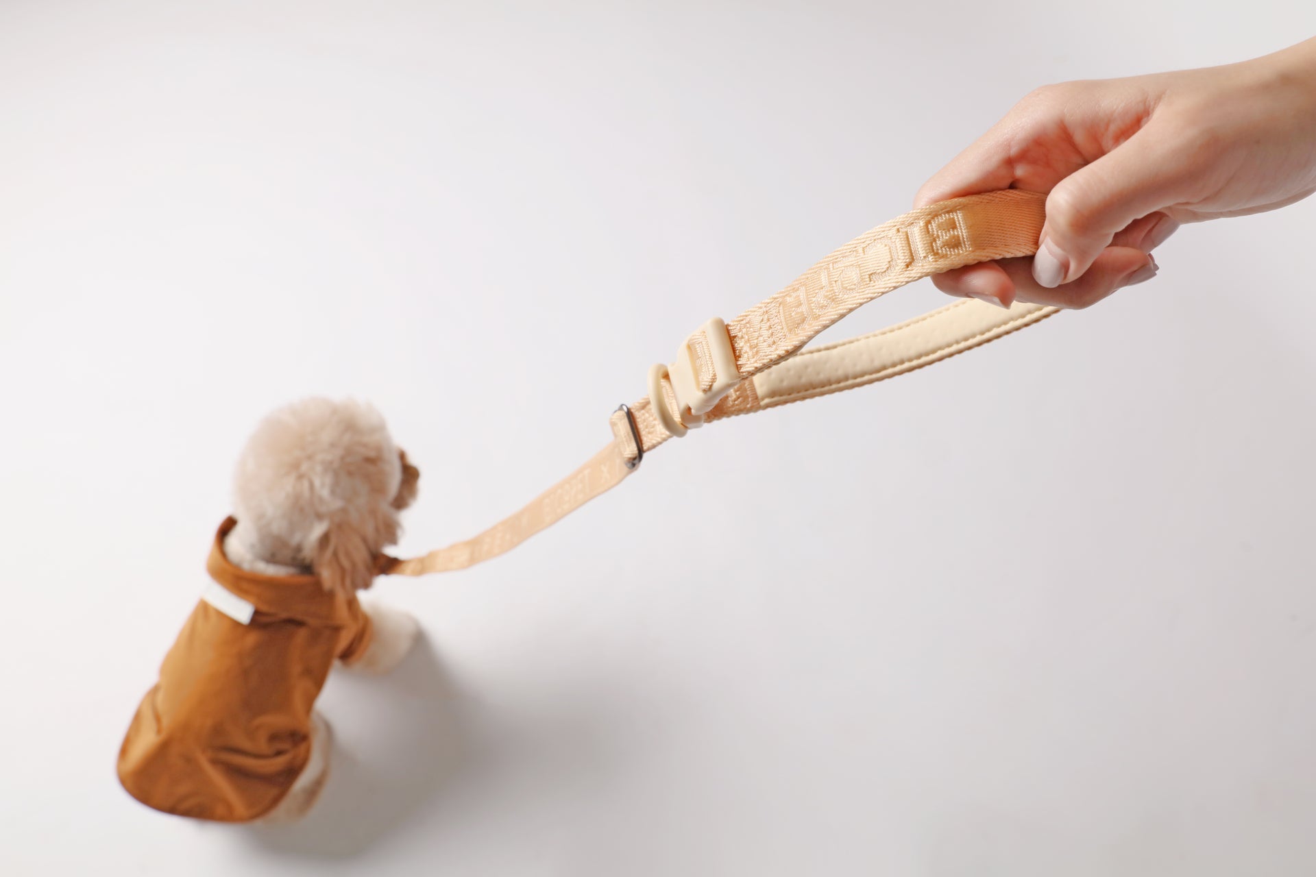 PADDED ACTIVE PET LEASH - APRICOT - Whiskers & Adventure Co.