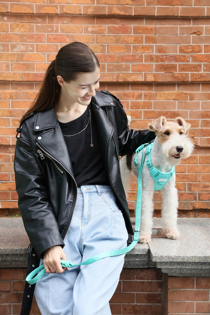 PADDED ACTIVE PET LEASH - APRICOT - Whiskers & Adventure Co.