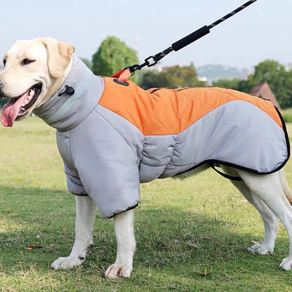 Yellow Labrador wearing a gray and orange insulated dog coat outdoors.