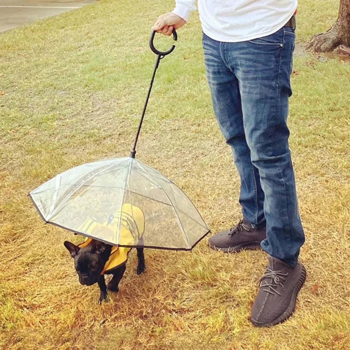 🐕 Paws & Puddles Pet Umbrella - Keep Your Furry Friend Dry & Stylish! - G.O.A.T pets