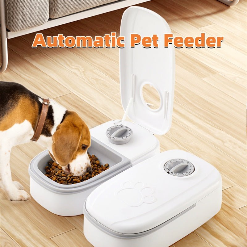 Automatic Pet Feeder Smart Food Dispenser For Cats Dogs Timer Stainless Steel Bowl Auto Dog Cat Pet Feeding Pets Supplies - G.O.A.T pets