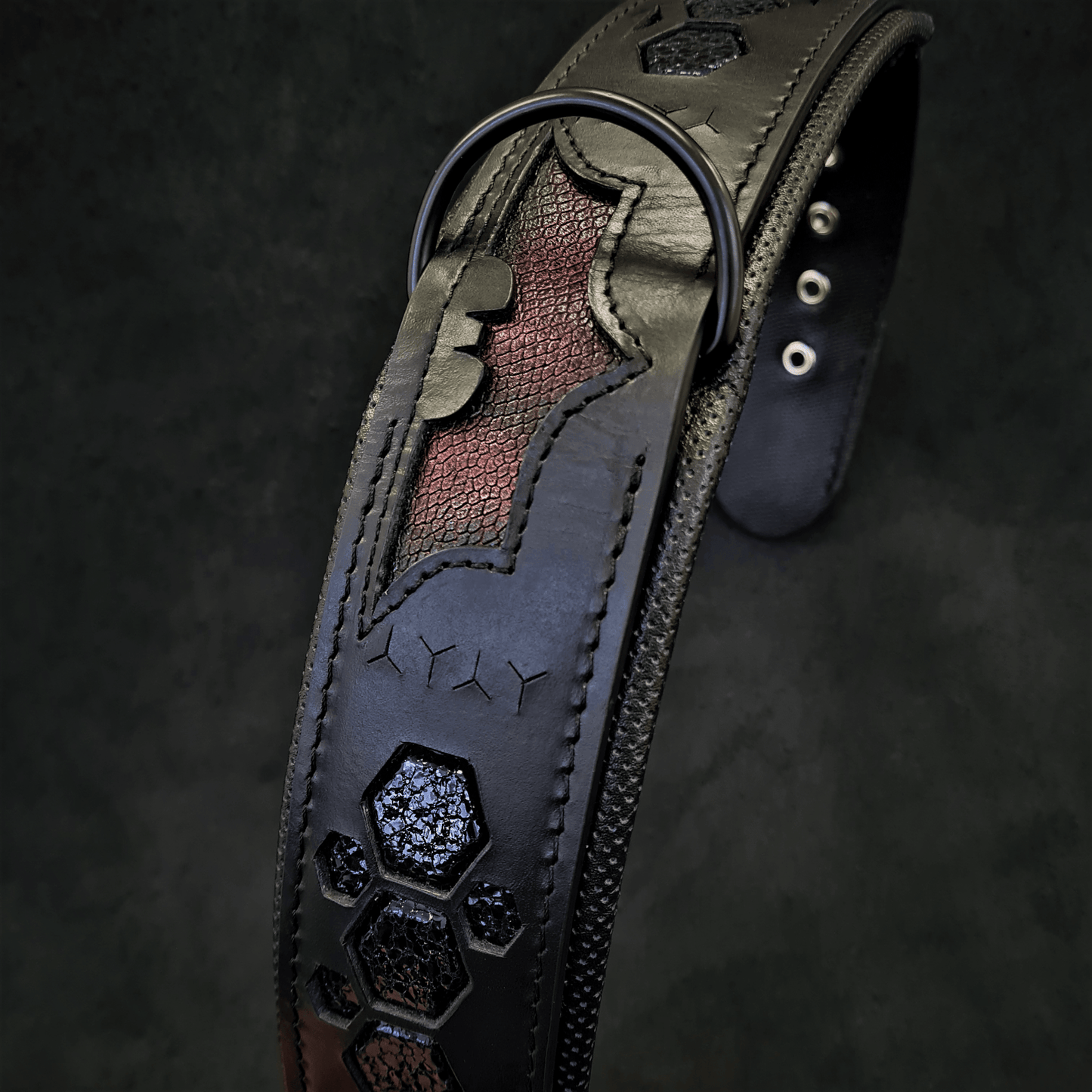 Black leather dog collar with metallic paw print design and adjustable holes.