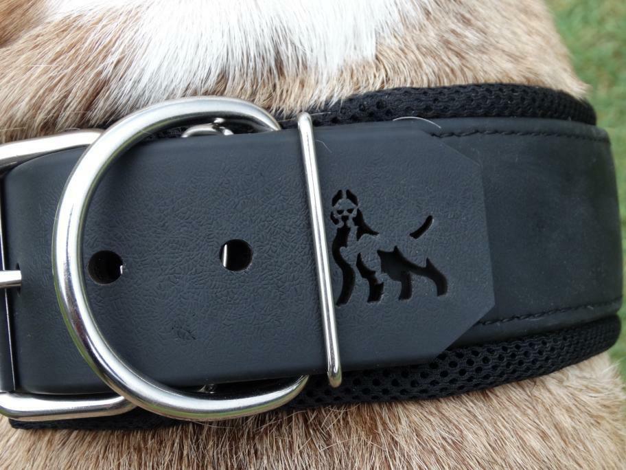 BESTIA DOG SPORT COLLAR - Whiskers & Adventure Co.
